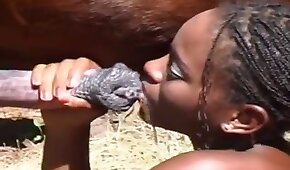 leao bet 77 - latina,bestialidade de cavalo