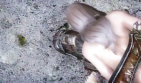 desenho animado,pornô com animais