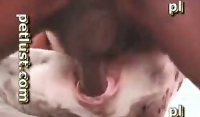 777sug.com - sexo de cachorro,vídeos de bestialidade