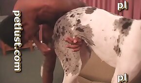 pornô com animais,pornô zoológico gay