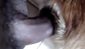 sexo de cachorro,zoológico foda pornô