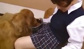 adolescente,sexo de cachorro