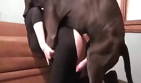 hotmail.com entrar caixa de entrada - sexo de cachorro,sexo foda animal