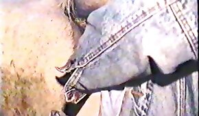 boquiaberto,bestialidade pornô